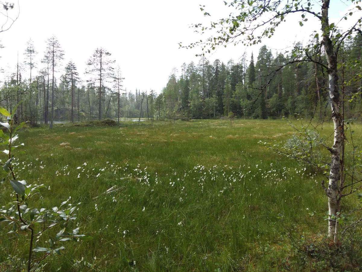 Salmikankaankelo C4 Ruka Bagian luar foto