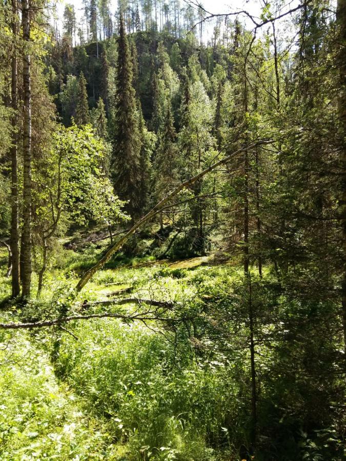 Salmikankaankelo C4 Ruka Bagian luar foto